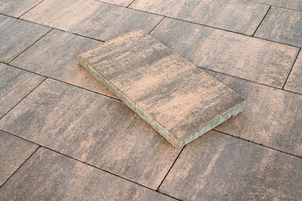 FOLIO_FINO_1