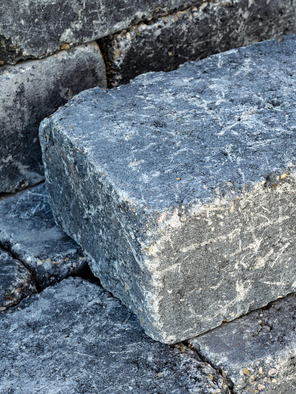 PALISAD_BLOC_ANTIC_2