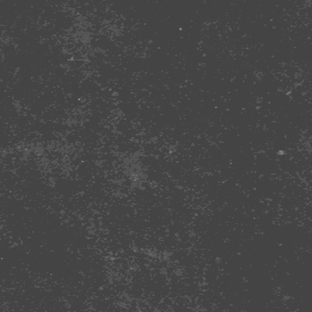 Raw 2G7A2128